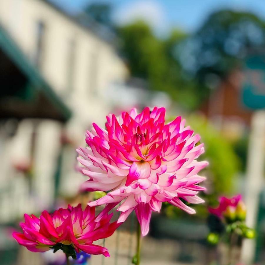 Milton Hotel Llanwern Village نيوبورت المظهر الخارجي الصورة